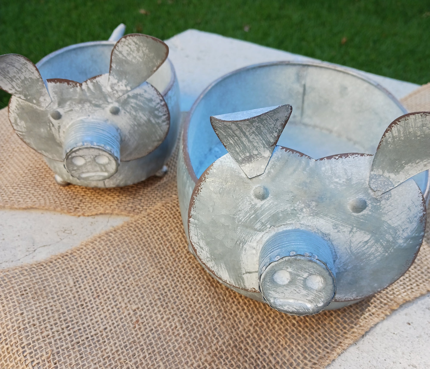Weathered Metal Pigs