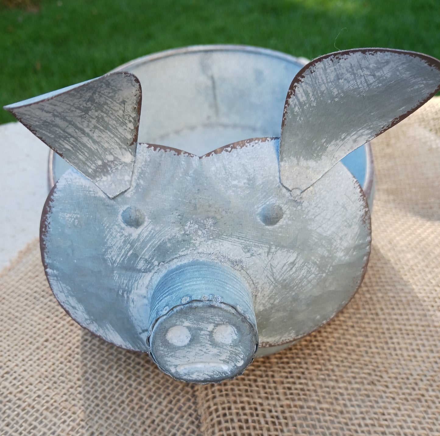 Weathered Metal Pigs