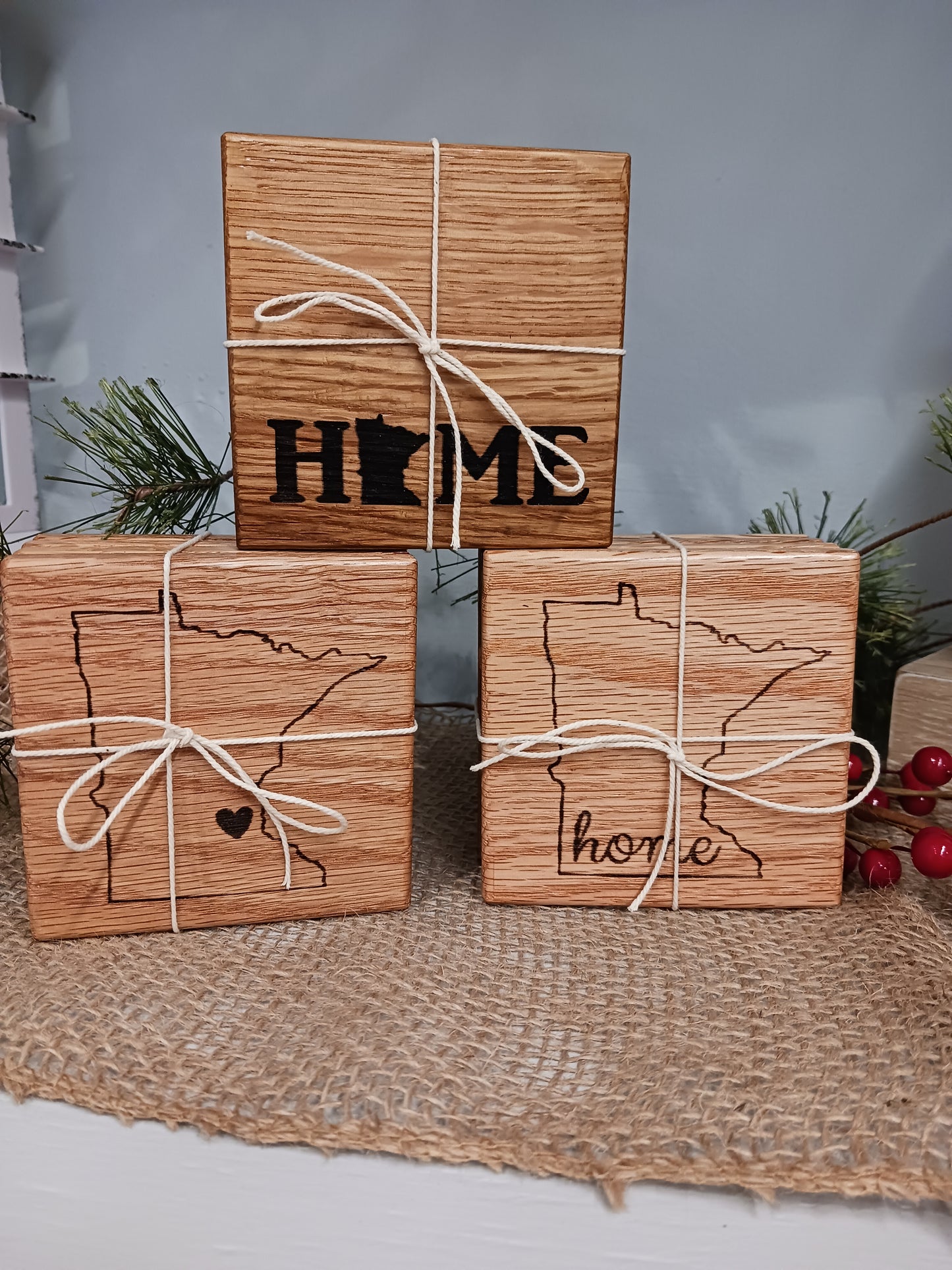 Minnesota Coasters - Set of 4