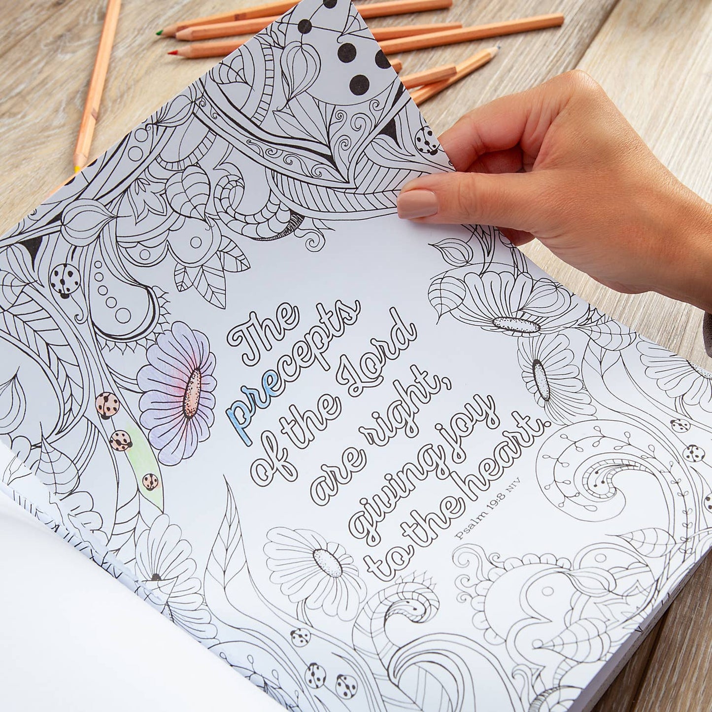 The Beloved Psalms Coloring Book