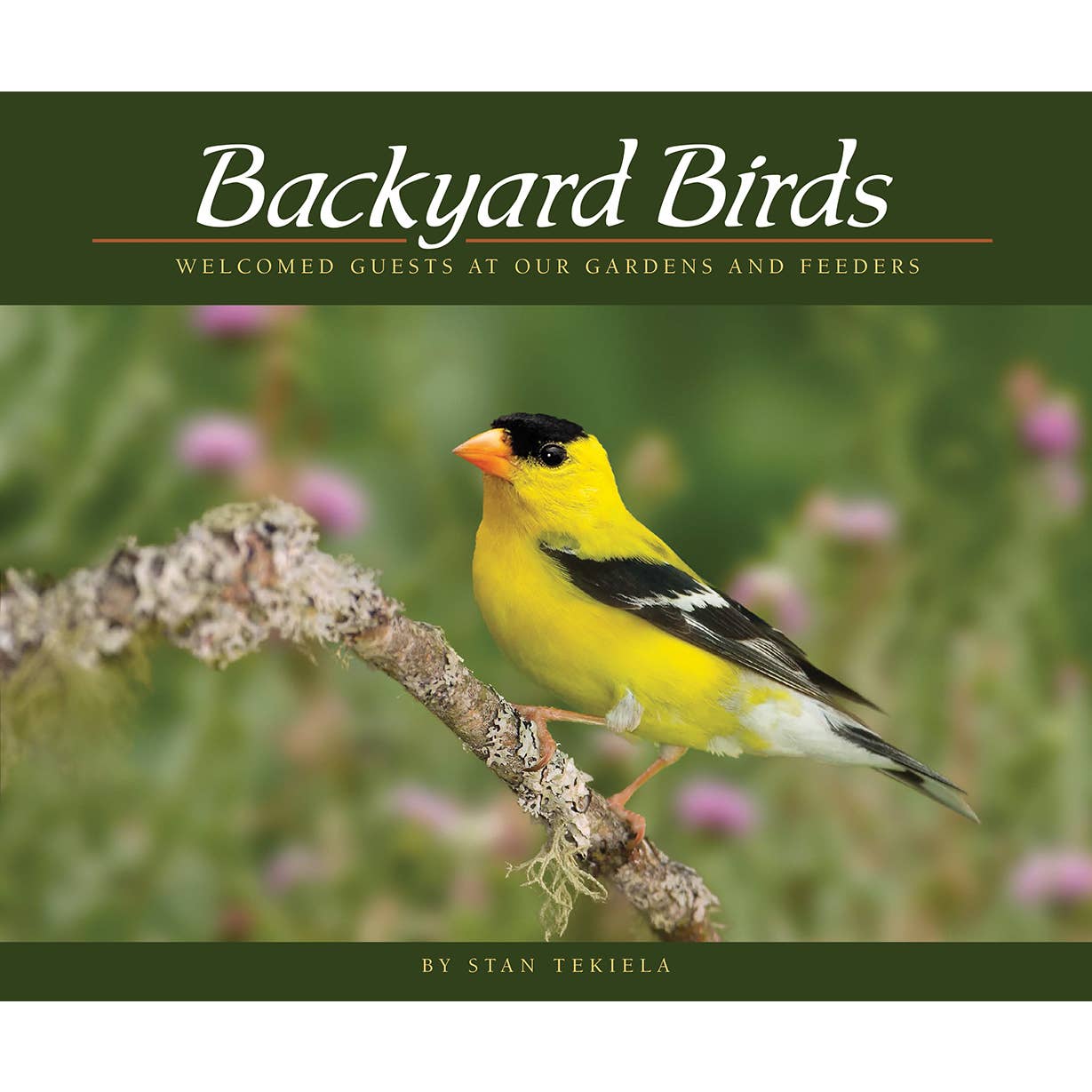 Backyard Birds Book