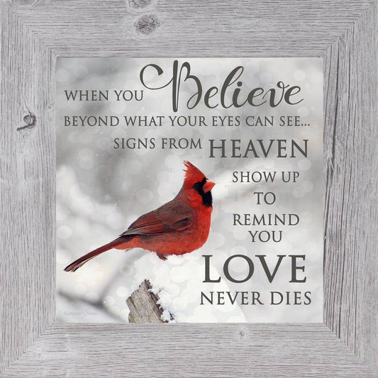 When You Believe Beyond What Your Eyes Can See Cardinal Picture Decor