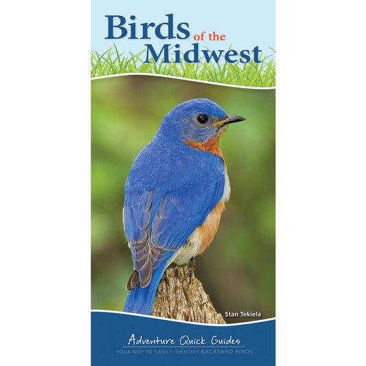 Birds of the Midwest Quick Guide