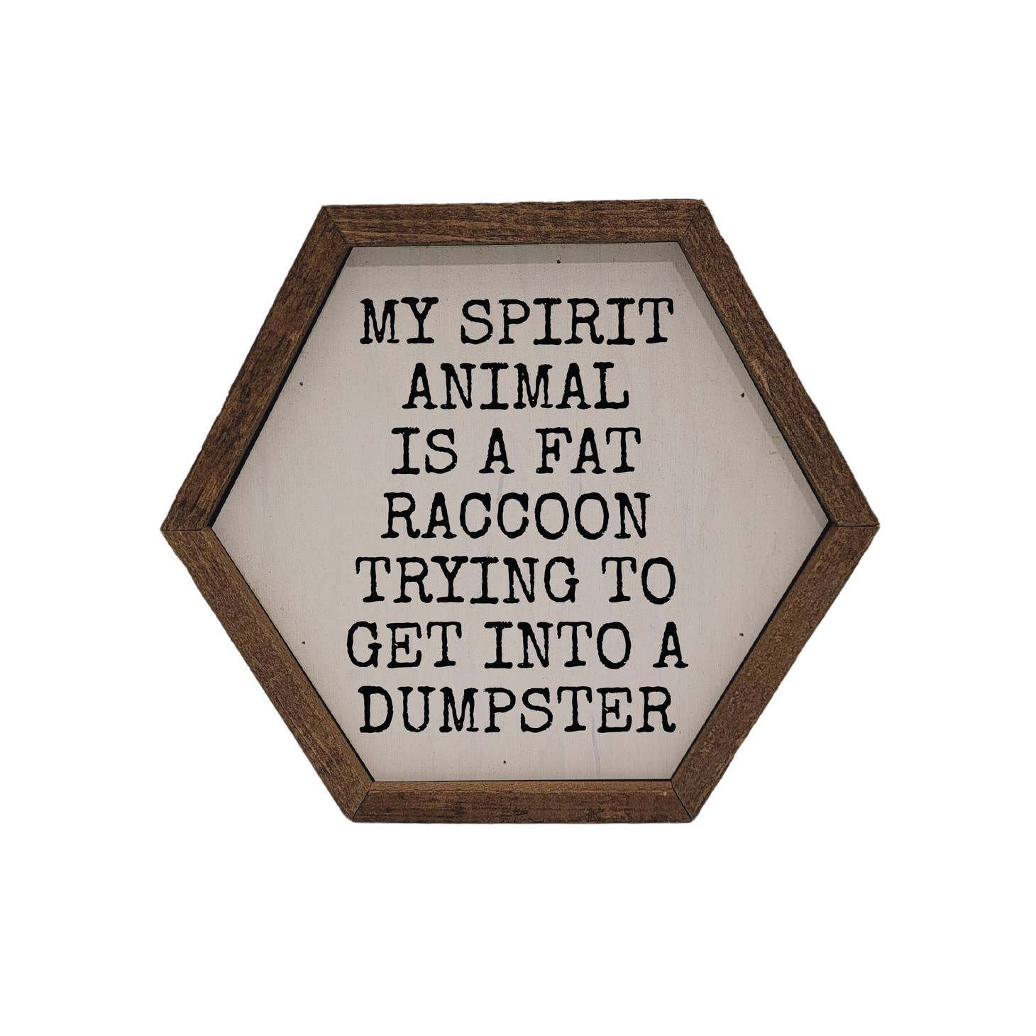 My Spirit Animal Is a Fat Raccoon